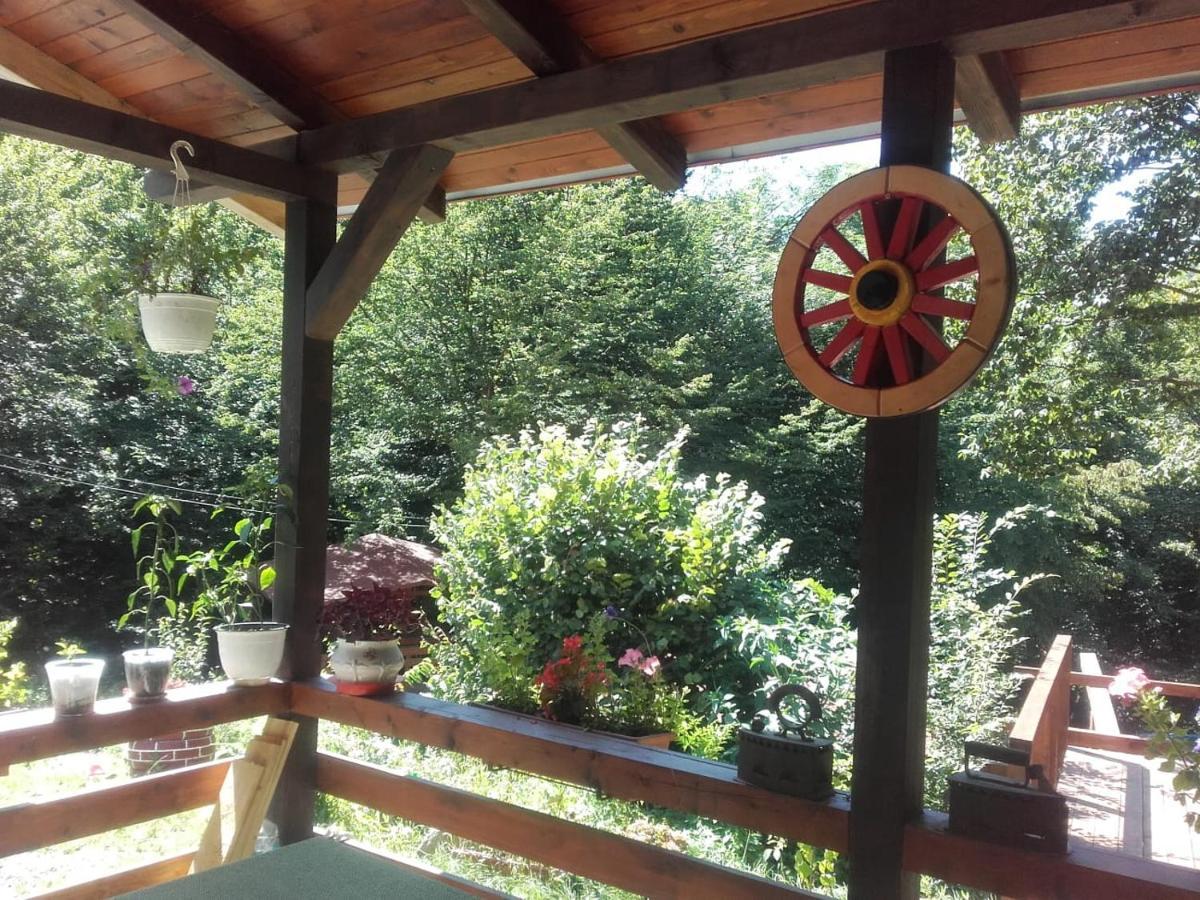Cabana Alpha Baia Mare Exteriér fotografie