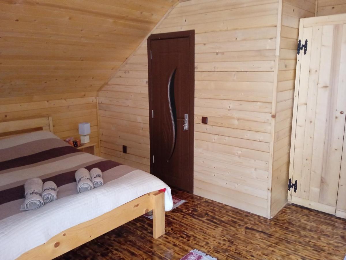 Cabana Alpha Baia Mare Exteriér fotografie