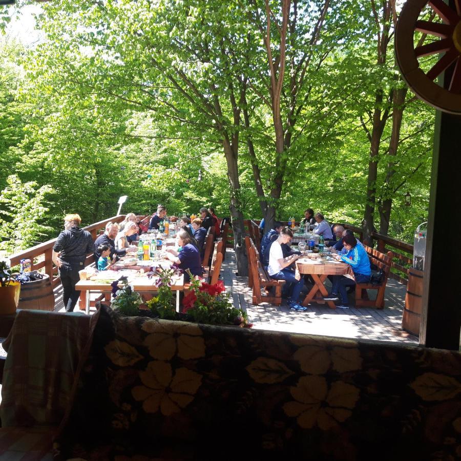 Cabana Alpha Baia Mare Exteriér fotografie