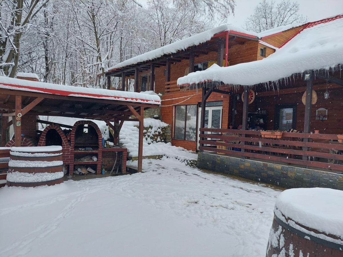 Cabana Alpha Baia Mare Exteriér fotografie