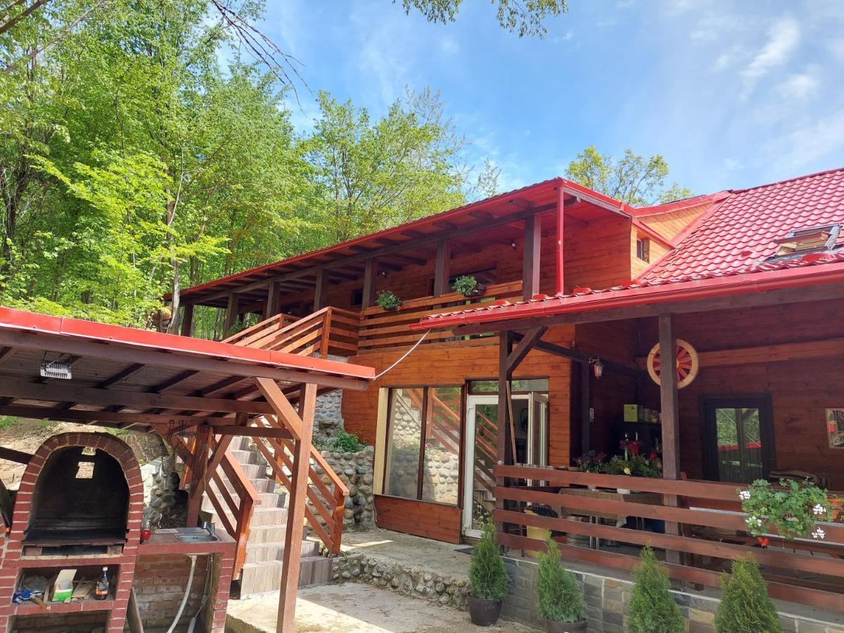 Cabana Alpha Baia Mare Exteriér fotografie