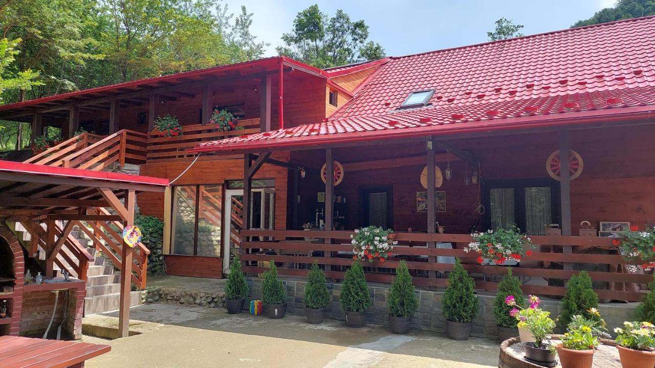 Cabana Alpha Baia Mare Exteriér fotografie