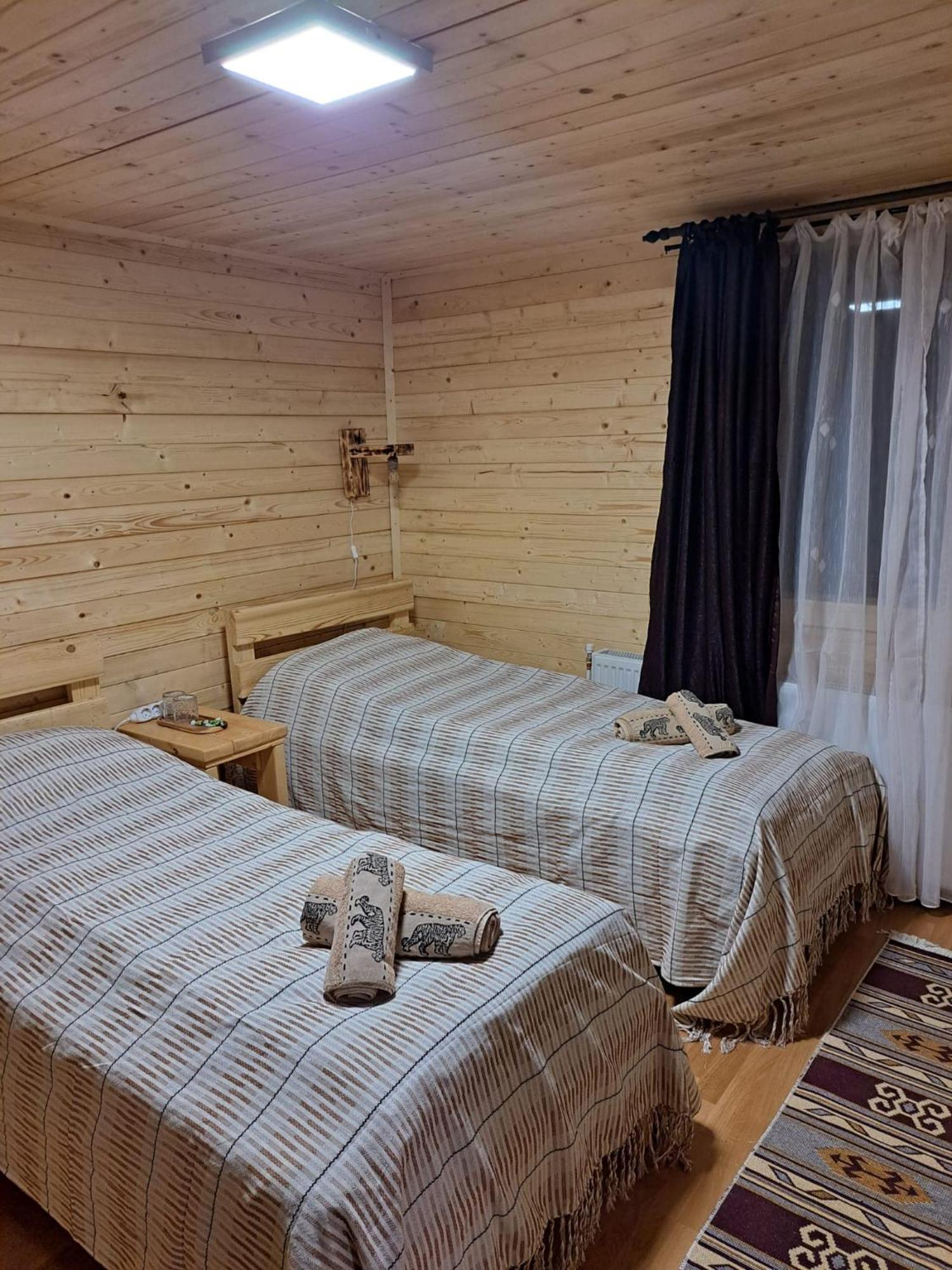Cabana Alpha Baia Mare Exteriér fotografie