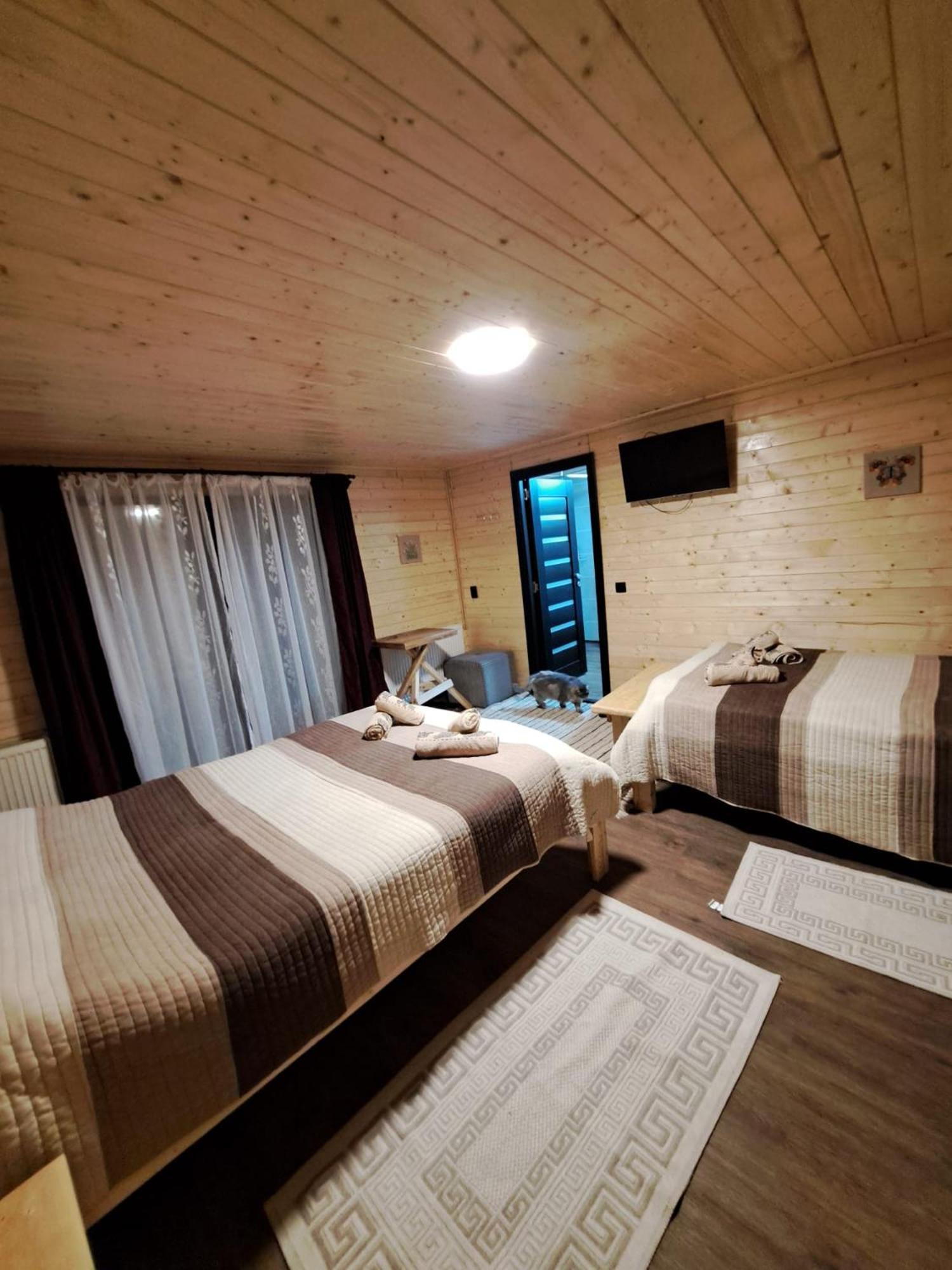 Cabana Alpha Baia Mare Exteriér fotografie