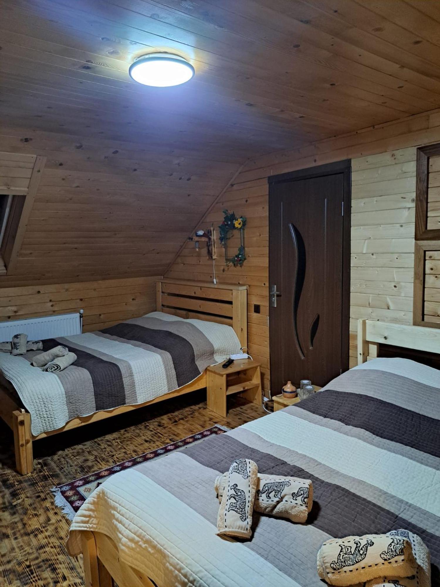 Cabana Alpha Baia Mare Exteriér fotografie