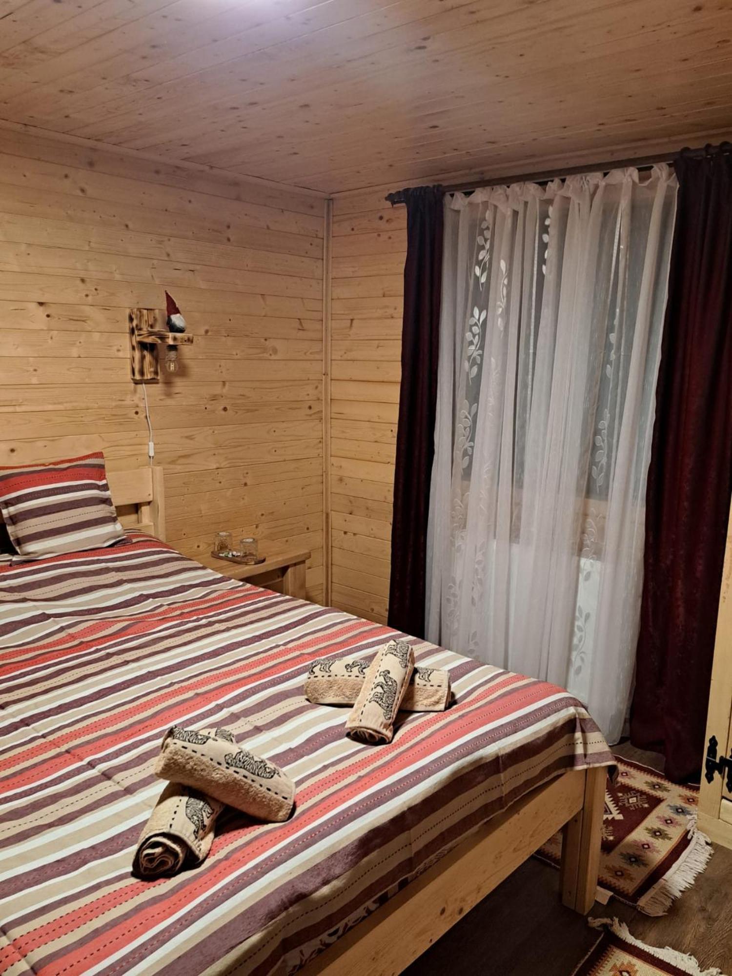 Cabana Alpha Baia Mare Exteriér fotografie