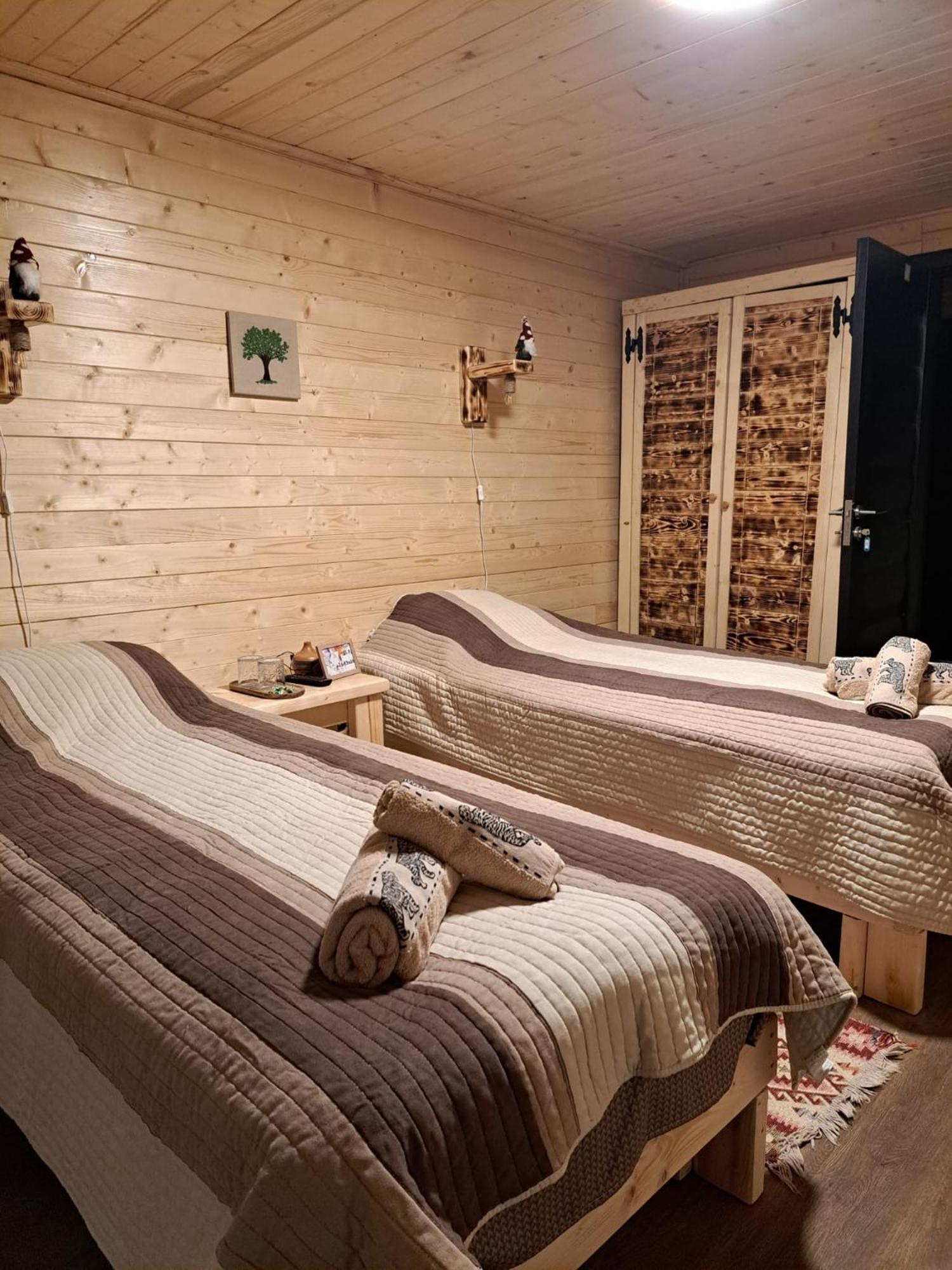 Cabana Alpha Baia Mare Exteriér fotografie